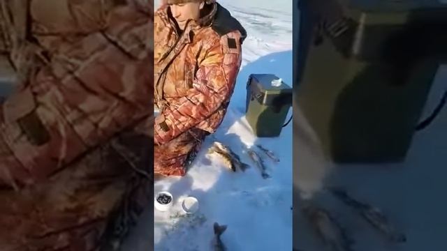 4.01.18г. Клевое местечко смотреть онлайн
