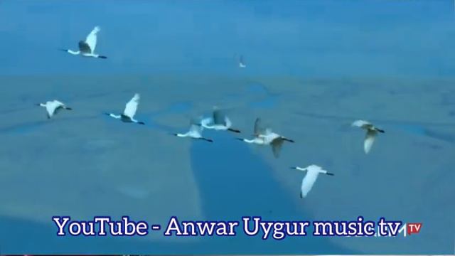 Peride Iskender | Sini Asleymen |  Уйгурча нахша | Uyghur Culture |uyghur Instrument | Uyghur Music