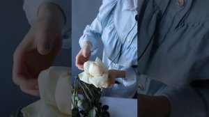 Как правильно раскрывать лепестки у розы?