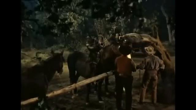 ВЕСТЕРН ПАУНИ Дикий Запад смотреть онлайн