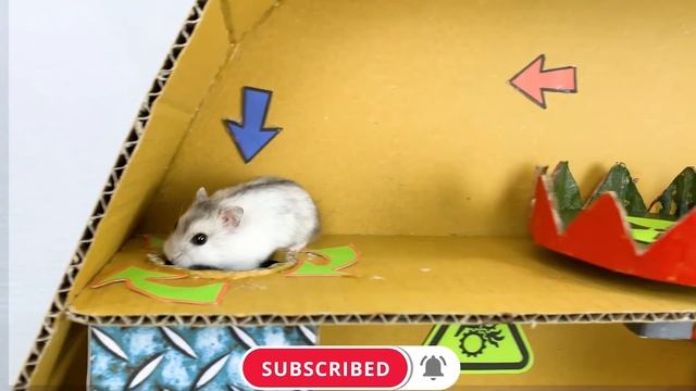 ??VENOM creatures creepy Room With Hamster Obstacle Course Maze With Traps смотреть онлайн