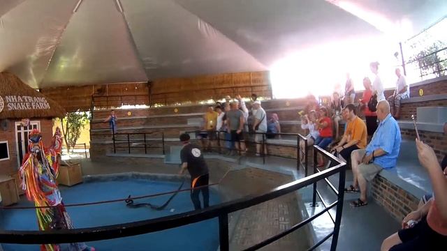 Питона кидают в зал Вьетнам Змеина ферма смотреть онлайн