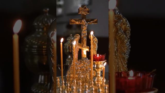 #RPG Cogito - Camélia trailer 1 #shorts смотреть онлайн