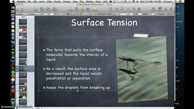 Crime Scene Reconstruction Blood Spatter Part 1 смотреть онлайн