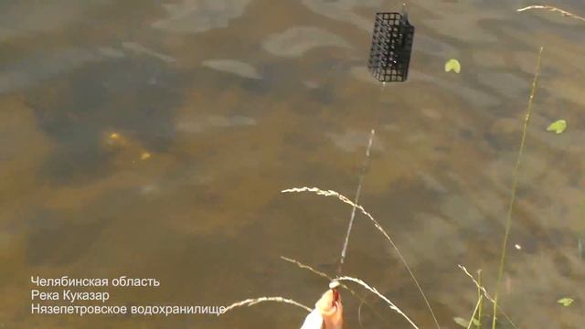Рыбалка. Река Куказар. Нязепетровское водохранилище. Fishing.. смотреть онлайн