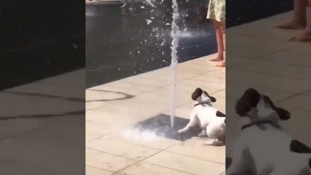 КАК ЭТО РАБОТАЕТ