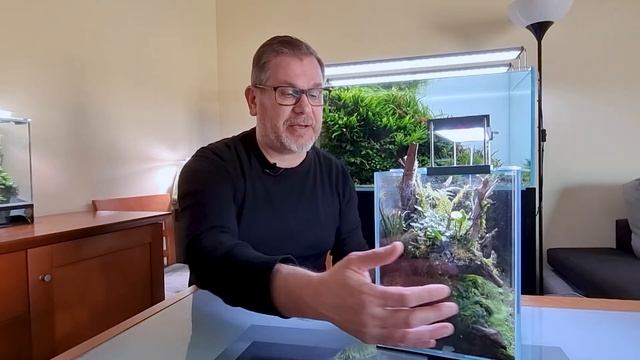 MY Strideways 30P Terrarium | All you need to know to build one смотреть онлайн