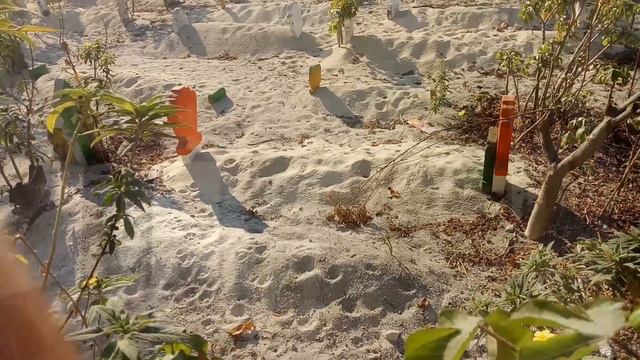 puisi di kuburan seorang sahabat смотреть онлайн