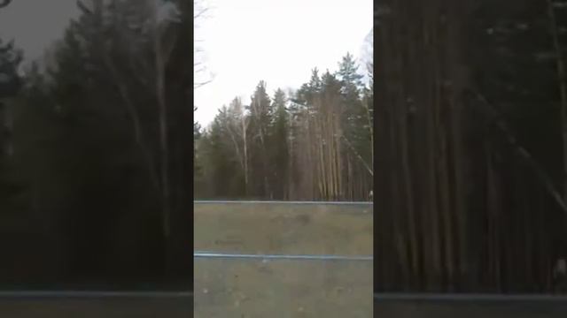 Осенние покатушки по лесу. смотреть онлайн