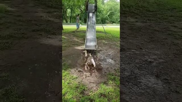 Видео приколы.Смешное видел с ребёнком