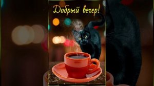 Добрый вечер