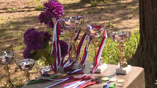 Соревнования на пони