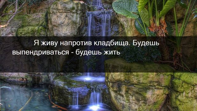 ?10.12.2022. Смешные цитаты, афоризмы и высказывания? смотреть онлайн