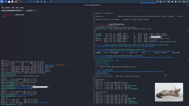Hack the box - Shared - MySQL timebase injection - ipython privesc - run Lua script on Redis server смотреть онлайн