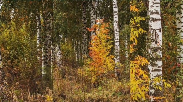 Уходит осень смотреть онлайн