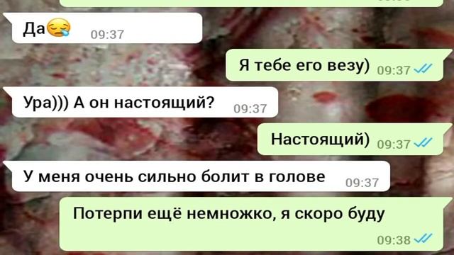 Переписка матери и дочки до слез Самая грустная история в мире смотреть онлайн