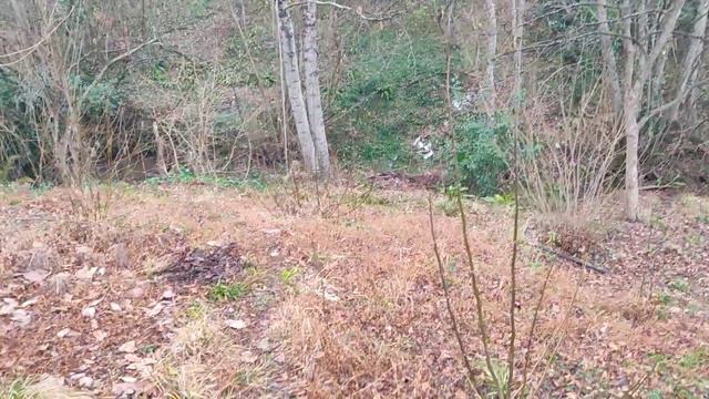 Участок 10 сот на Саят нова с хорошим окружением! #Участоквсочи смотреть онлайн