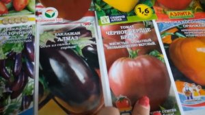 Замачивание семян перца и баклажан. Готовый грунт. Купленные семена в магазине.