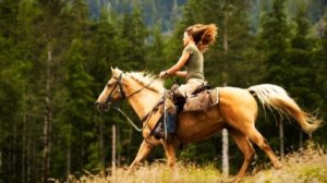 Тушда От курса нима булади Туш табири