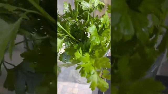 Филе куриное на фруктово-овощной подушке по «шубой»??? смотреть онлайн