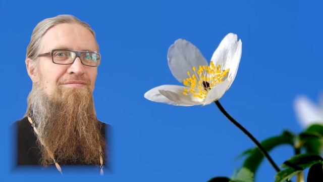 ЗАКОН БОЖИЙ. УРОК № 24. смотреть онлайн