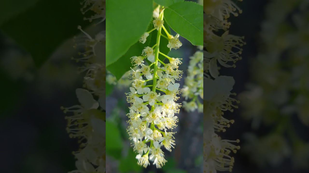 Уфа смотреть онлайн