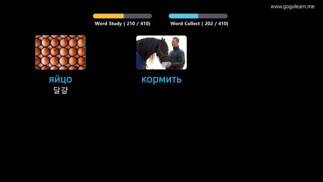 사진을 통해 러시아어 를 배우세요 |러시아어어휘 중학교 1 | Golearn смотреть онлайн