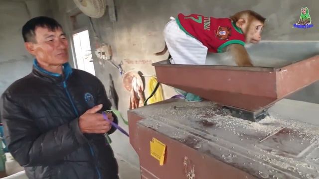 Asher steals rice, funny cute смотреть онлайн