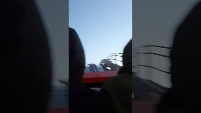 2 сентября 2023 г. смотреть онлайн