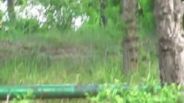 Иссык Куль, Аврора