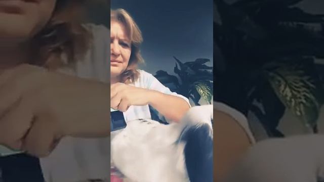 Цирюльник для кроли смотреть онлайн