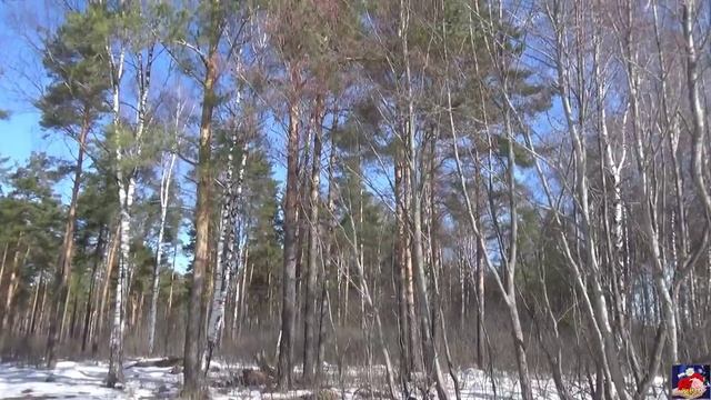 Весна. смотреть онлайн