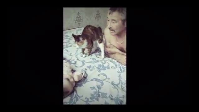 Кошка ревнует к ребёнку смотреть онлайн