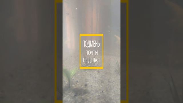 Контейнер с землёй для орхидей #Shorts смотреть онлайн