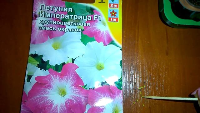 ПОСЕВ СЕМЯН ПЕТУНИИ НА РАССАДУ 100% РЕЗУЛЬТАТ. смотреть онлайн