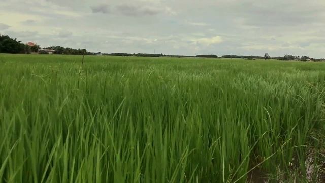 Ветер перемен / Надежда - стихи для души смотреть онлайн