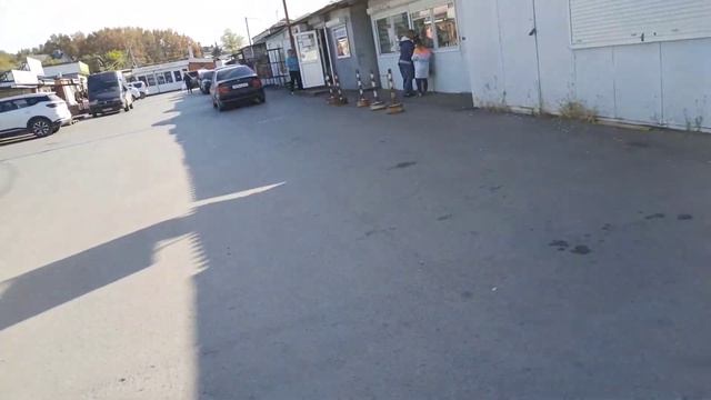 НАХОДКИ НА МУСОРКЕ - ПРОГУЛКА смотреть онлайн