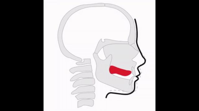 амогус мьюинг мем #рекомендации #мемы #funny #meme #мьюинг #mewing #amongus #абобус смотреть онлайн