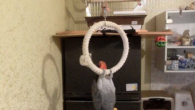 Утро с Говоруном Жаном))_снято одним кадром(эпизод №778))_28_11_2022 смотреть онлайн