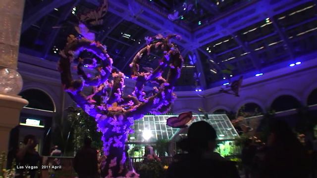Las Vegas 2011_Bellagio_Flowers. Лас Вегас 2011, Цветочный сад. смотреть онлайн