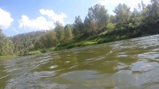 Рыба в реке Бердь. Съемка под водой. На Березовских скалах. Природа Новосибирской области. смотреть онлайн