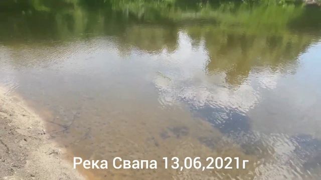 Река Свапа .13.06. 2021 г смотреть онлайн