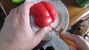 Томат Знаменитое бычье сердце!