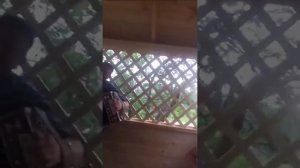 Анатолий Святов и гости -Частушки 1