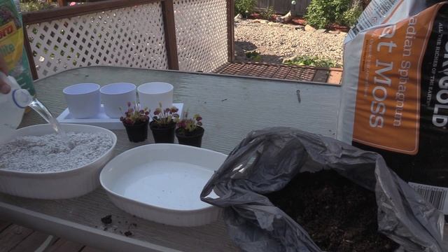 How To Make Venus Flytrap Soil Mix: Best Carnivorous Plant Soil Mixture For Pitcher Plants And More смотреть онлайн