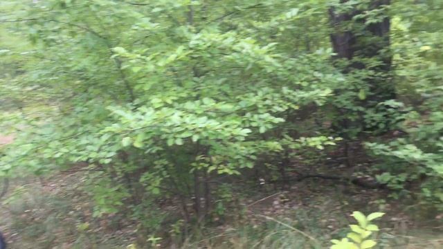 Бывшая киностудия Довженко. Оболонь