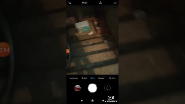 К нам подбросили котят . История котят смотреть онлайн