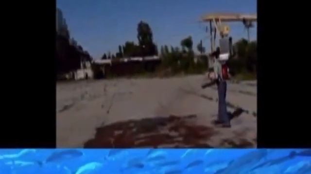 Сорбенты нефти 2013. смотреть онлайн