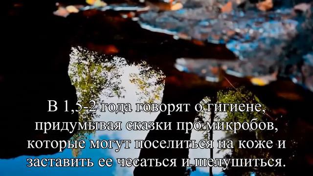 Пускай ваша мама или свекровь сколько угодно твердят об экологически чистых яблочках и огурчиках, н смотреть онлайн
