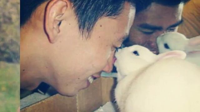 Картинки животных слайд-шоу #4//часть 1♥ смотреть онлайн